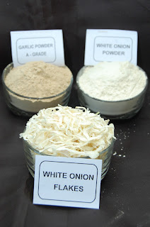 DRIED WHITE ONIONS PRODUCTS