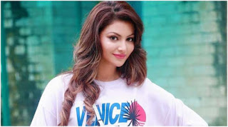 Urvashi Rautela Filmography, Roles, Verdict (Hit / Flop), Box Office Collection, And Others