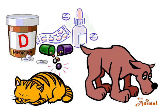 Medicamentos para humanos peligrosos para las mascotas.
