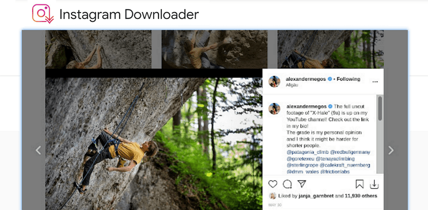 ig link downloader ig link downloader