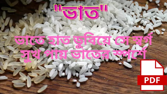 ভাতে হাত ডুবিয়ে সে স্বর্গ সুখ পায় ভাতের স্পর্শে
