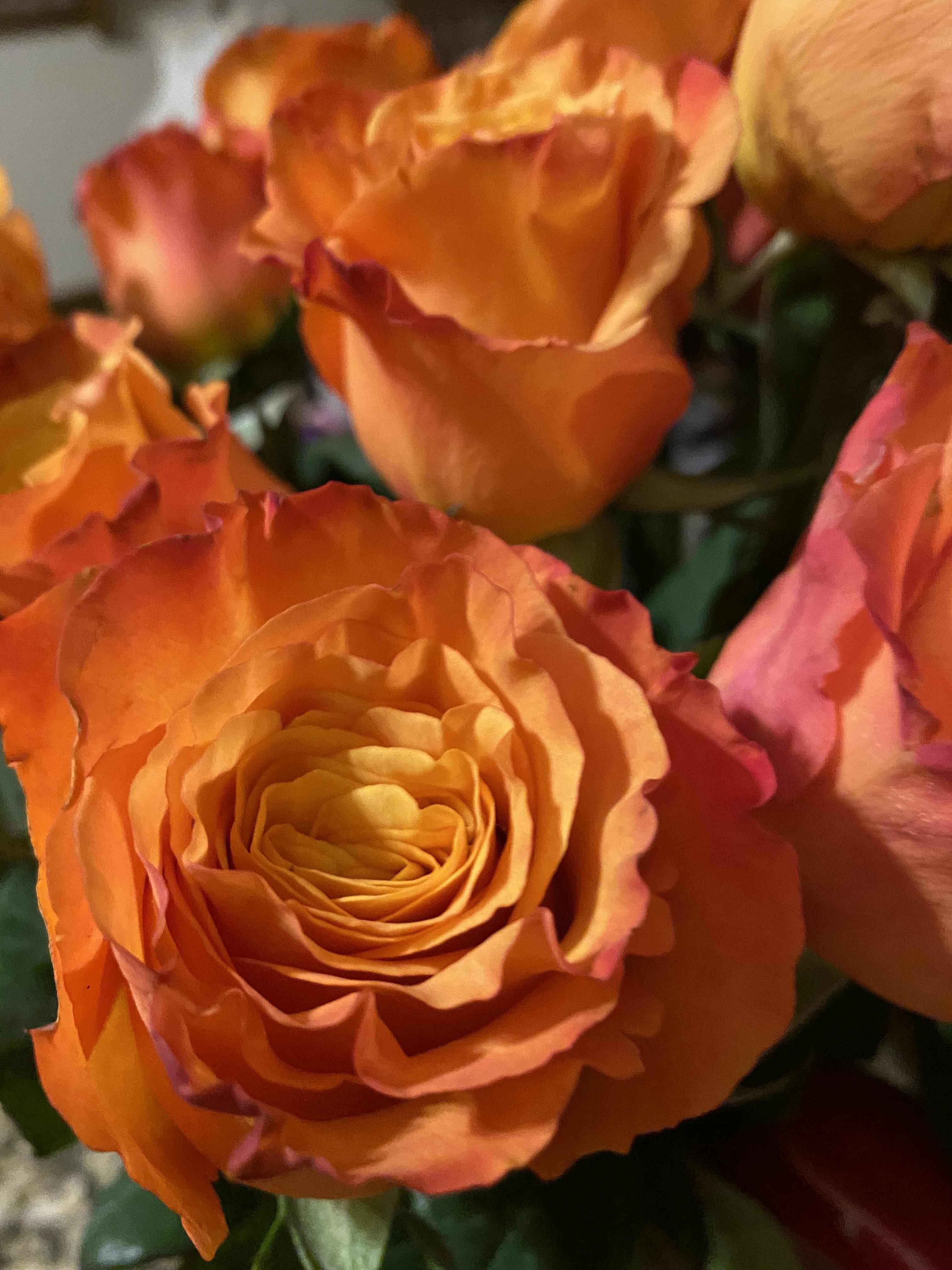 Sweetest Day Roses
