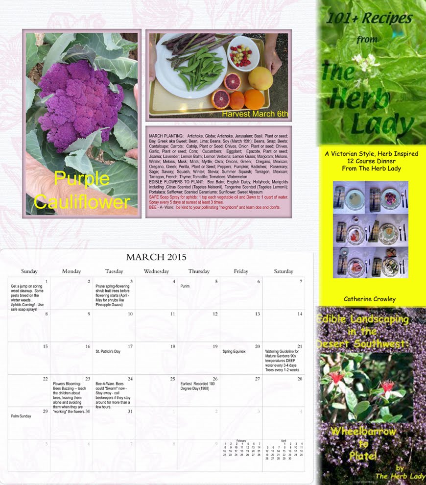 My Books & Calendar at AMAZON