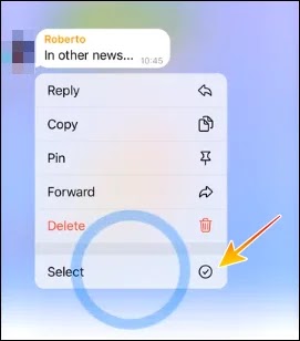 enable auto delete of Telegram chat messages on iPhone
