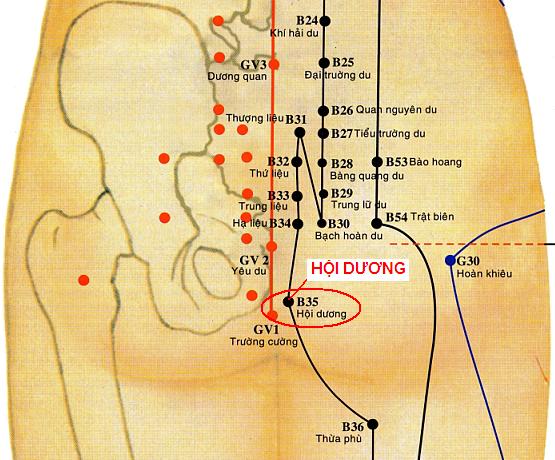 Vị trí huyệt hội dương
