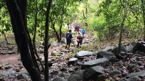 Karnala Bird Sanctuary Best Places To Travel In Mumbai, India