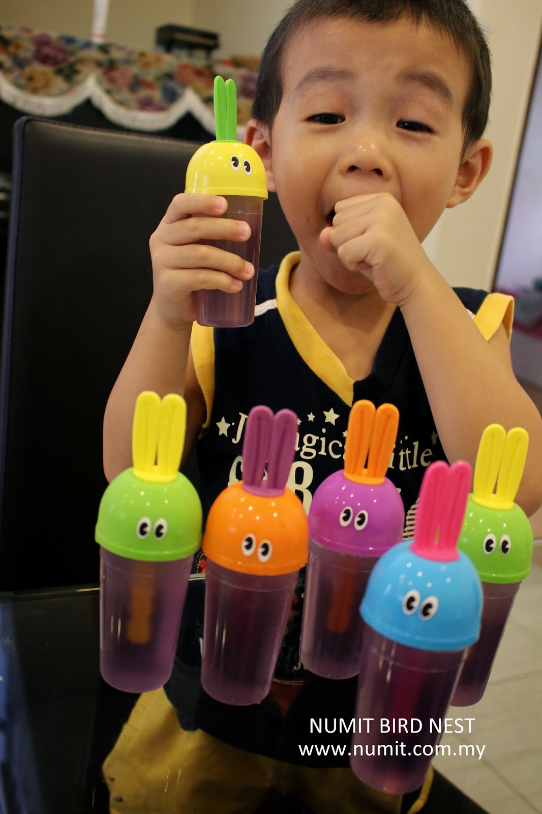 NUMIT Bird Nest 浓密燕窝 BIRD's NEST ORIGINATED FROM TAIPING, MALAYSIA