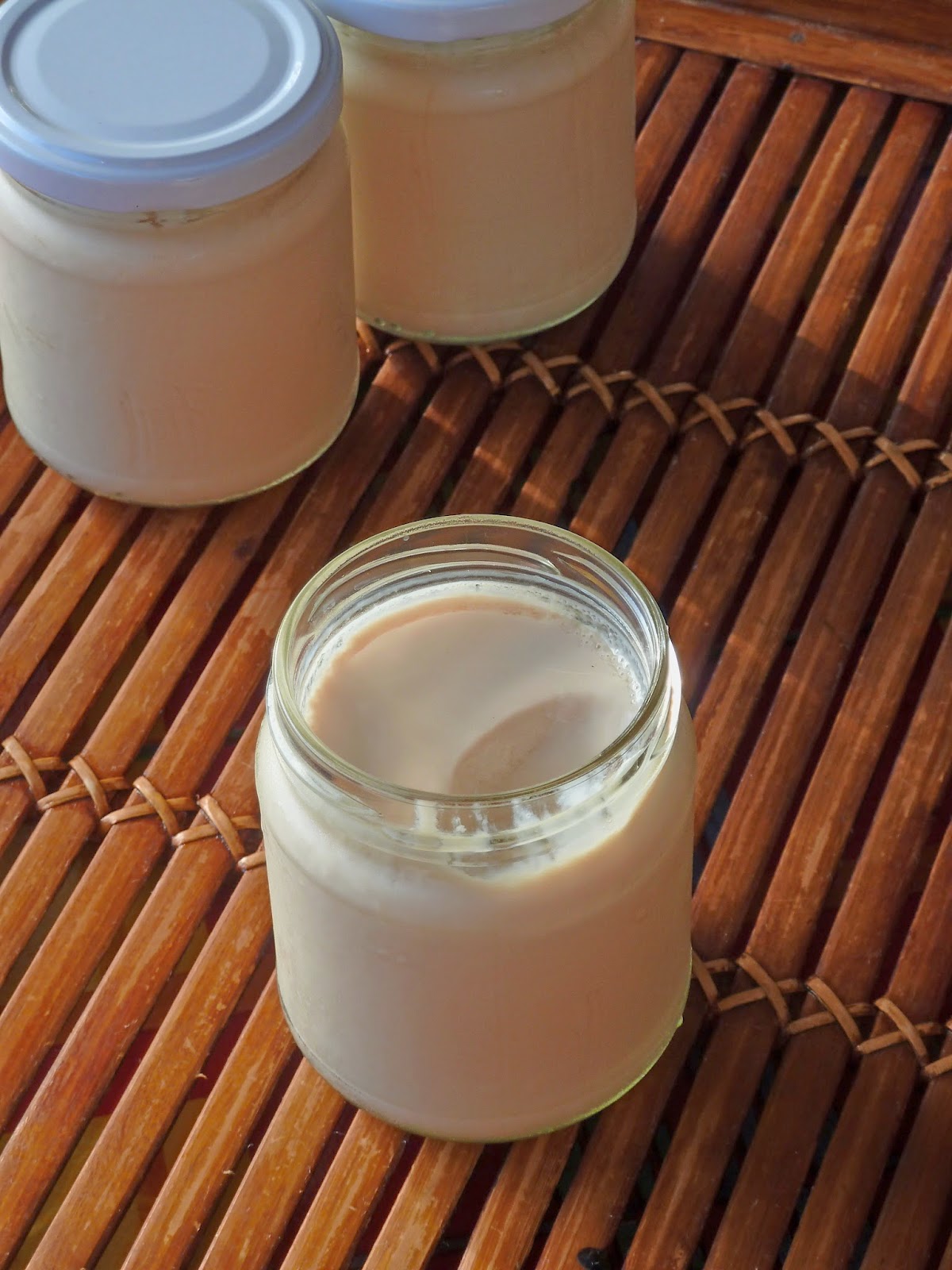 En cuisine avec Marlène Yaourts au soja maison sans sorbetière