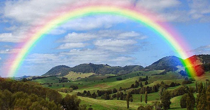 Teks Eksplanasi Pelangi Taman Bahasa Indonesia smkn23jkt