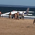 Two killed as plane makes emergency landing on Portuguese beach packed with sunbathers