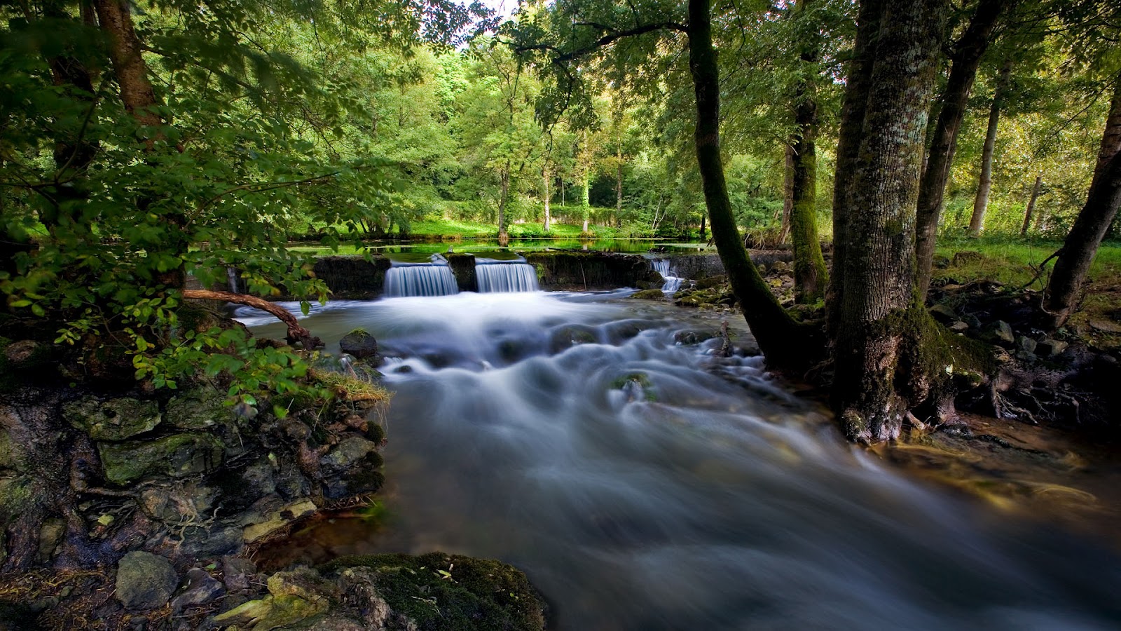 Clear Water Green Nature HD Wallpapers | Widescreen Nature Photos