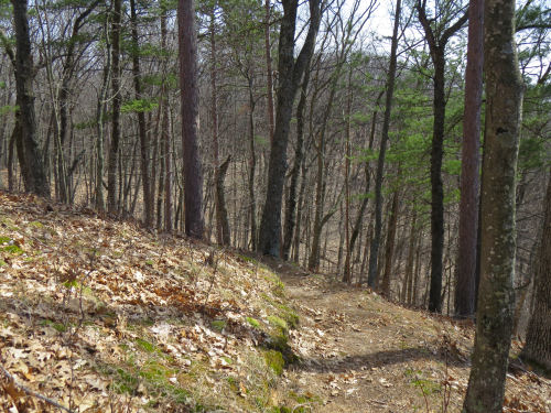 North Country Trail rounding a hill