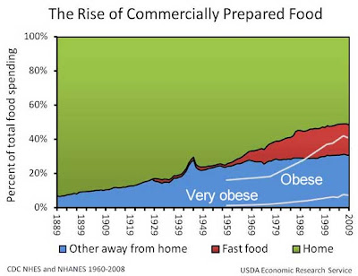 Graph showing increase in money spent on food away from home, broken down between fast food and other sources, compared to the increase in obsese and very obese people in the same time, post 1960