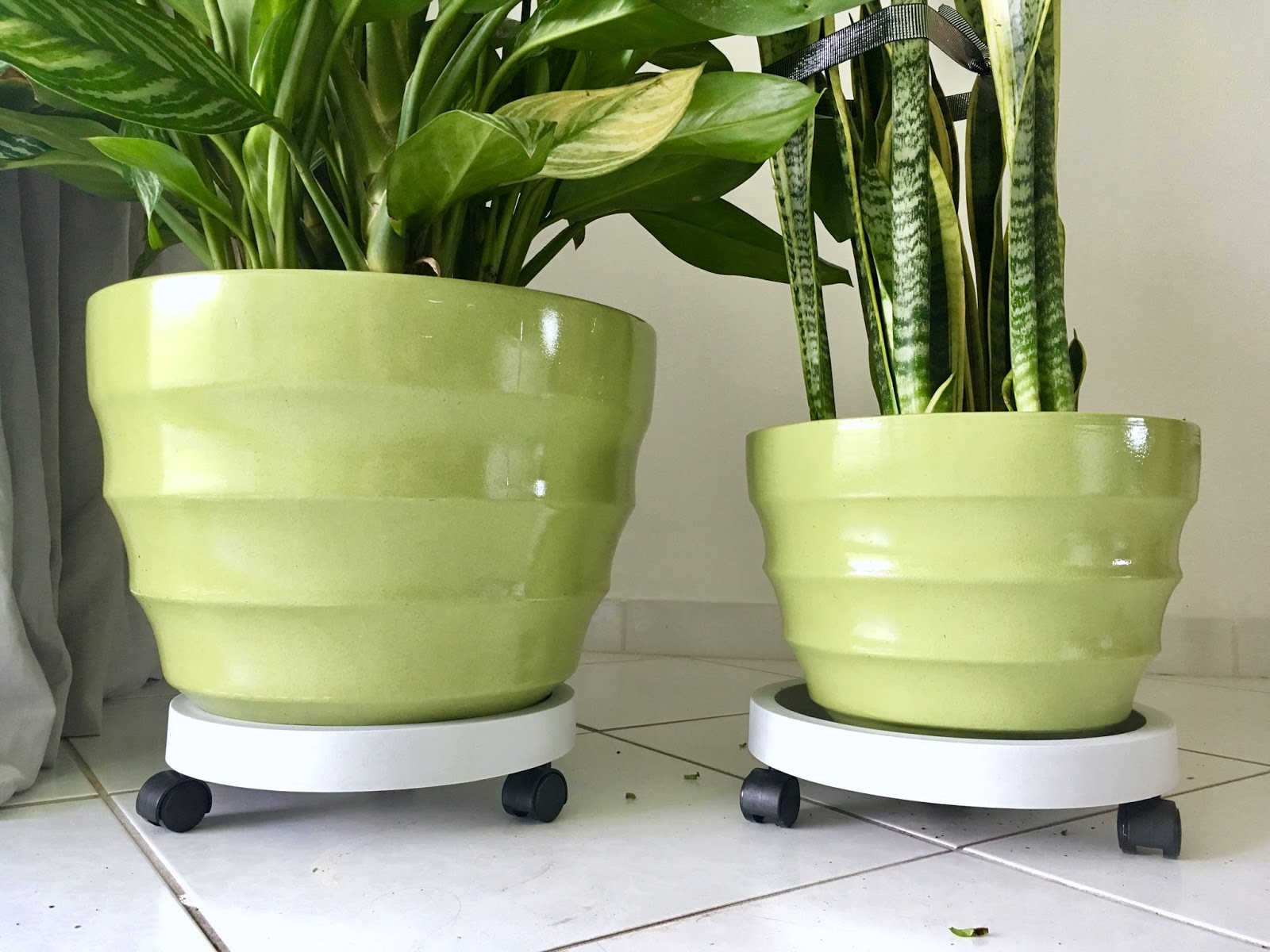 горшок на колесиках. огромный цветочный горшок. горшок на колесиках. горшок для детей с колесиками\. поддон для цветочного горшка на колесиках.