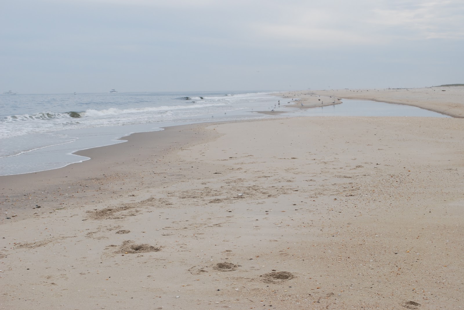 Fishing in New Jersey Fishing Sandy Hook