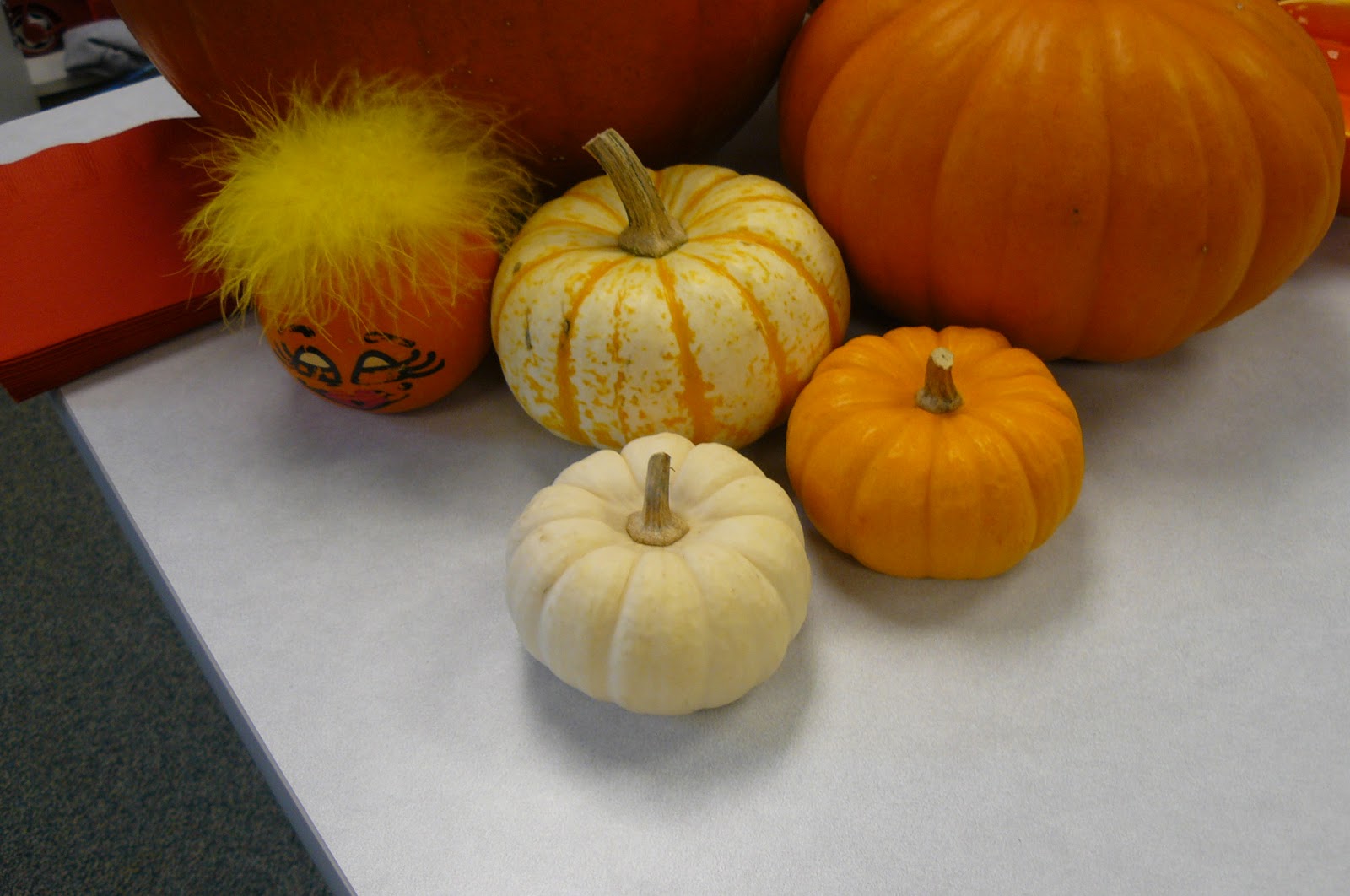 Learning in Room 206: Pumpkin Week - Sink or Float?