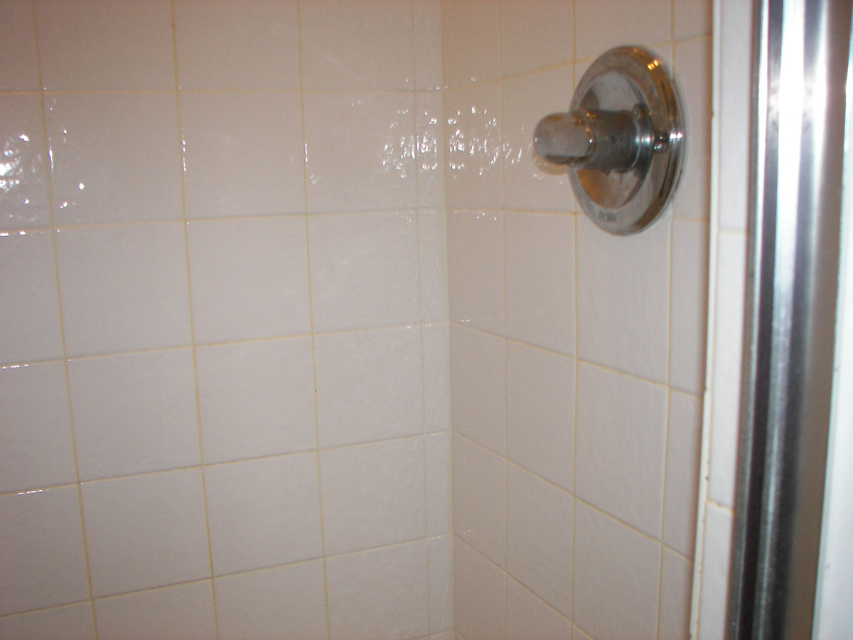 Treasures of Odie White Shower with Bleach