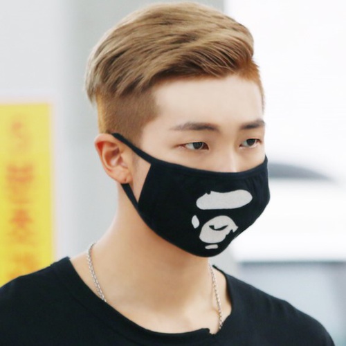 Korean mouth mask