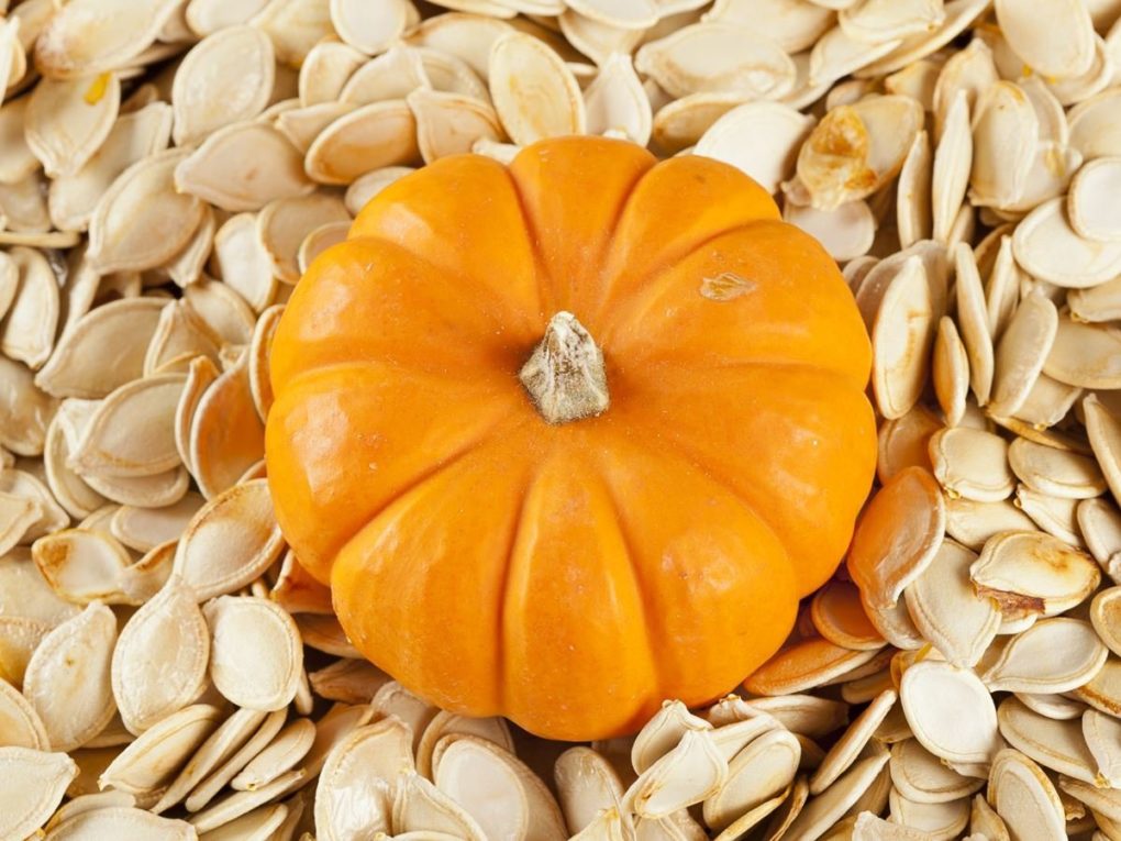 Arthritis Herbs and Ayurvedic Remedies Health Benefits Of Pumpkin Seed