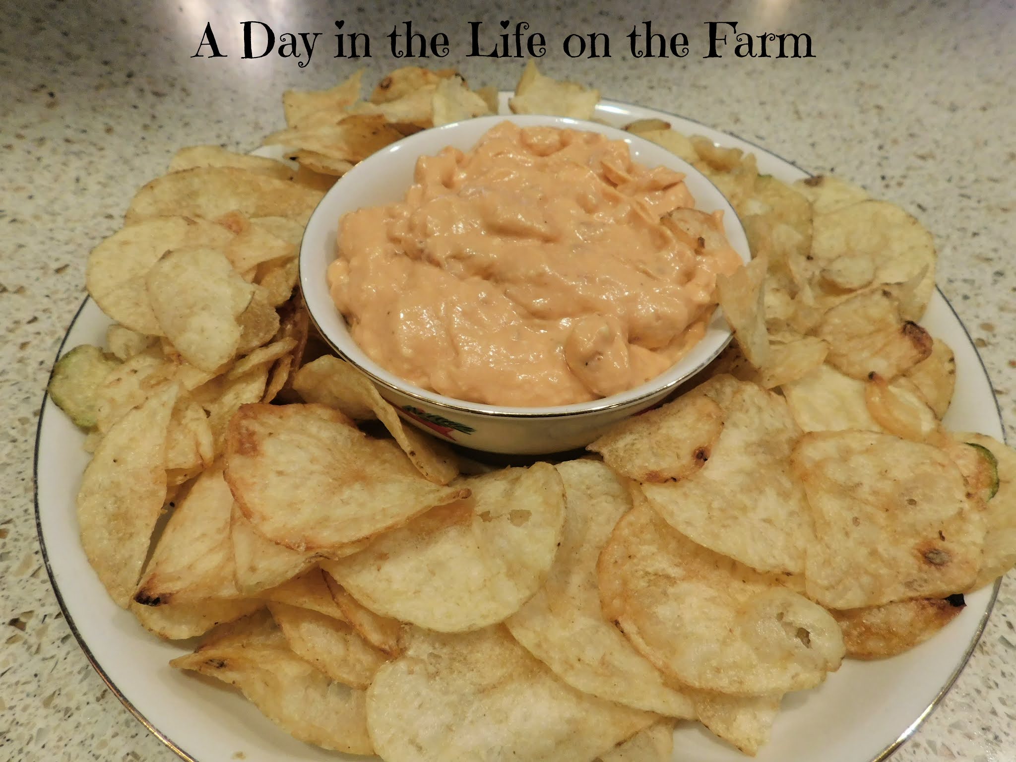 A Day in the Life on the Farm Shrimp Chip Dip SundayFunday