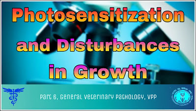 Photosensitization and Disturbances in Growth