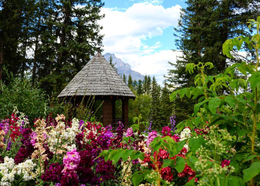 Banff National Park