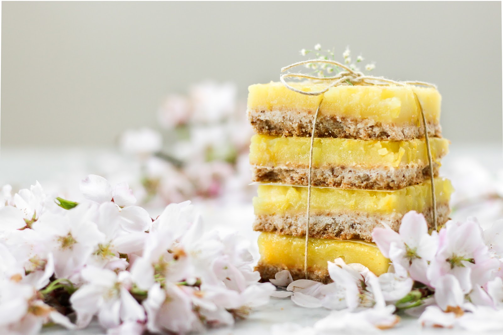Dairy Free Coconut Lemon Bars from Simply Citrus Constellation dairy-free-coconut-lemon-bars-from-simply-citrus-constellation