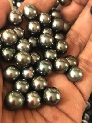 The Black Tahitian Pearls