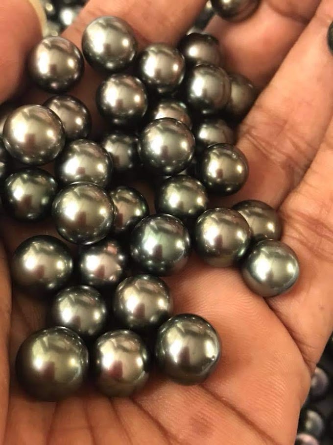 Black Tahitian sea pearls