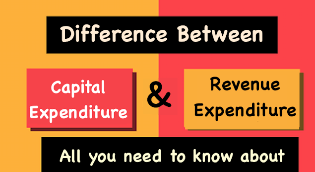 What Is Capital & Revenue