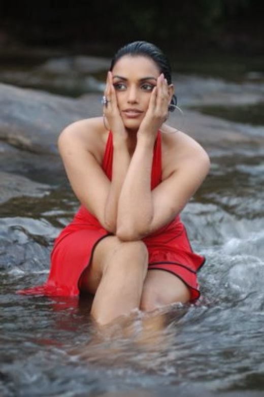 Sexy Indian Model Swetha Menon Hot Photos And Wallpapers Hot Images