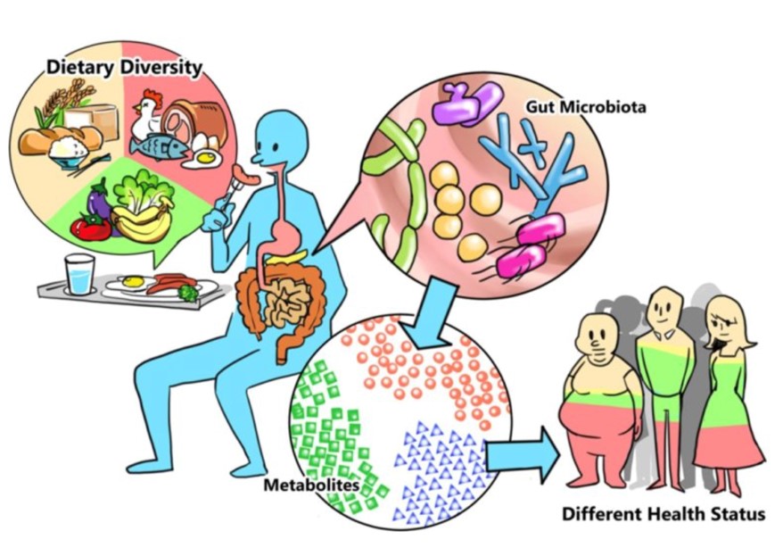 Microbiota intestinal Dra: María Susana Olavarria - Medicina General ...