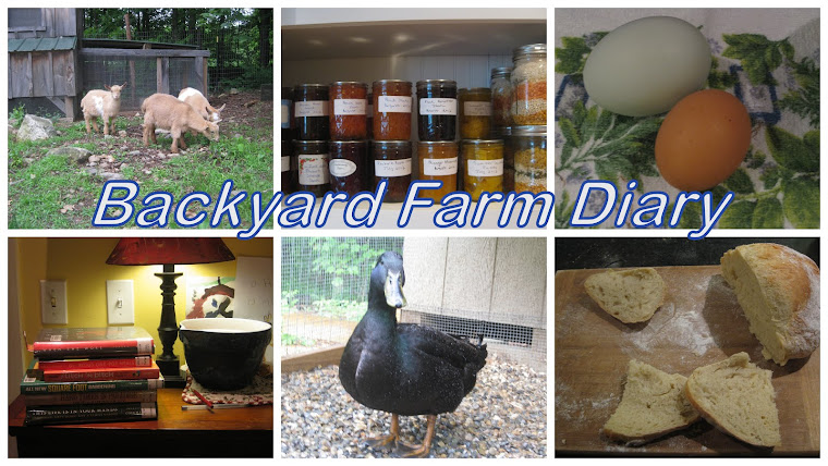 Backyard Farm Diary
