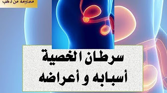 سرطان الخصيه أسبابه وأعراضه وطرق اكتشافه وعلاجه والوقاية منه صحتي الجنسية سرطان الخصيه أسبابه وأعراضه وطرق اكتشافه وعلاجه والوقاية منه صحتي الجنسية