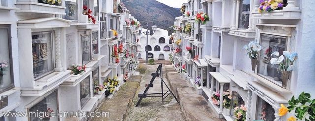 Cementerio-Sayalonga-Málaga