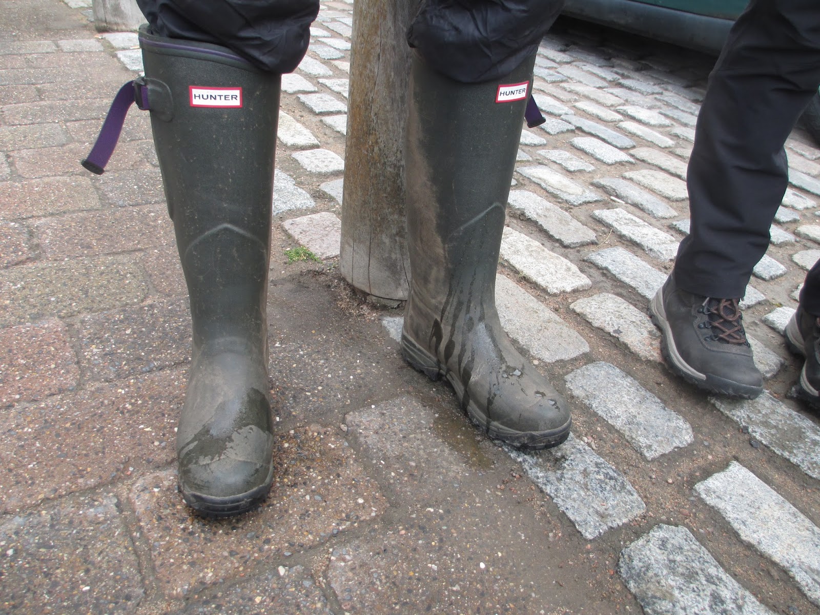 Bouncing Bertie's Blog September 2013