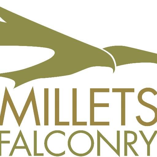 Zoo Jobs KEEPER BIRDS OF PREY & MAMMALS