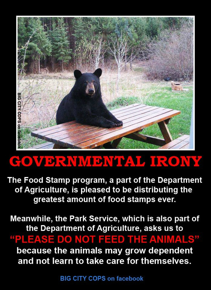 governmental+irony.jpg