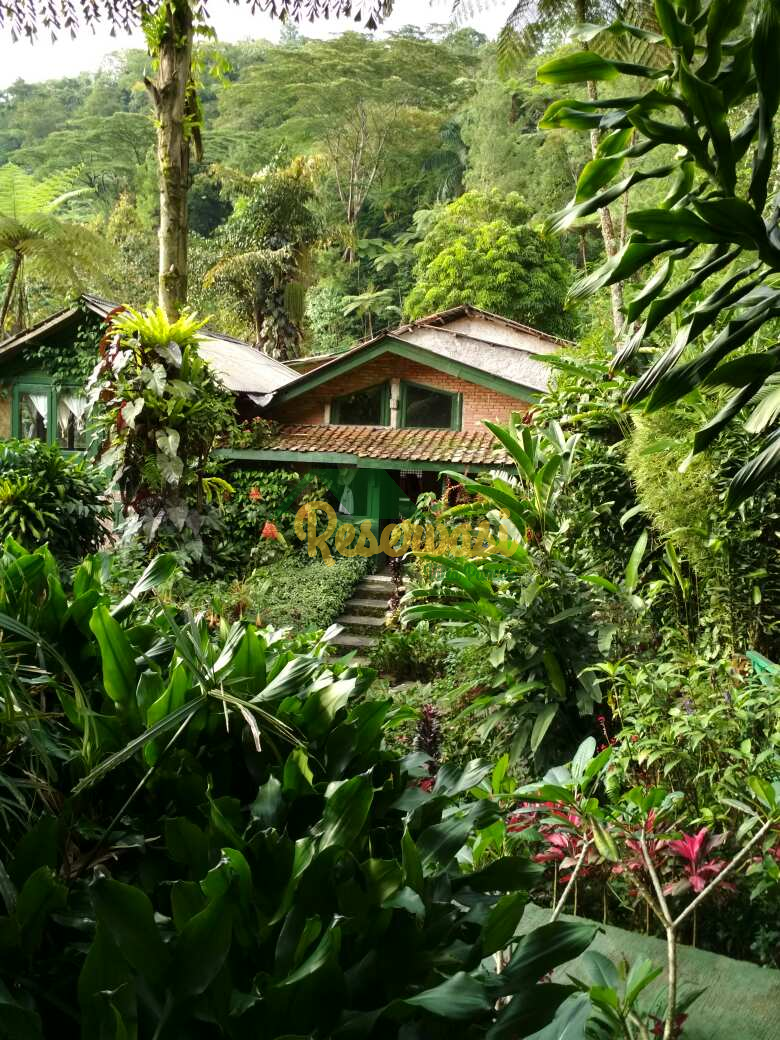 Disewakan Villa Kampung Air di Cilember Megamendung Bogor