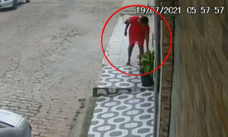 Câmera flagra mulher furtando plantas em Jacobina; assista