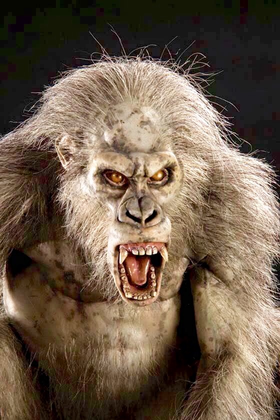 Jack O' Lantern's MSH Blog The Gray Gorillas from 'Congo'