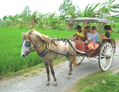 50 Soal Ukk Ipa Sd Mi Kelas 4 Dan Kunci Jawabannya Website Pendidikan