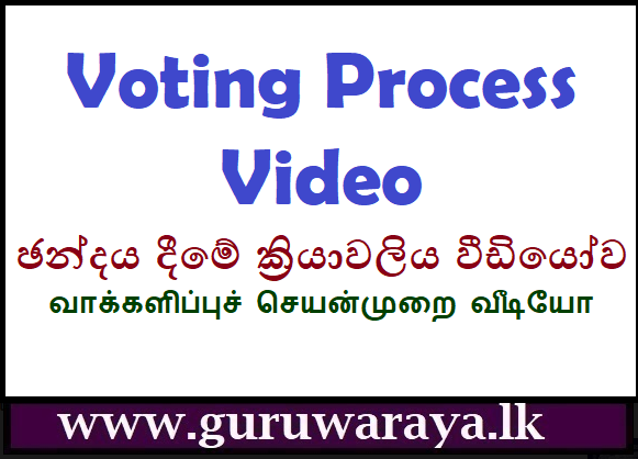 Voting  Process   (Video)