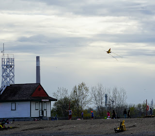 Kits flying on Toronto Beach