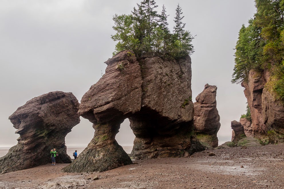 IsenhartsPhotos: Hopewell Rocks - low tide IsenhartsPhotos: Hopewell Rocks - low tide