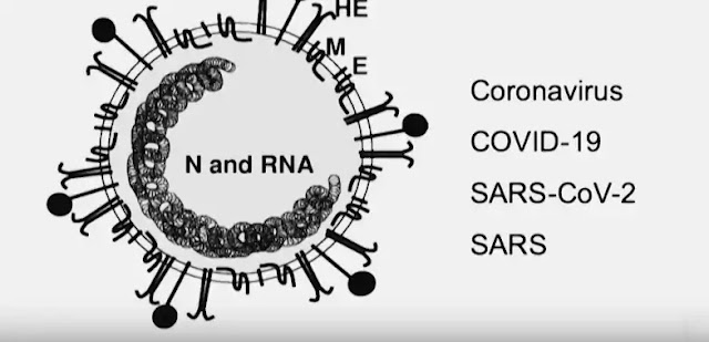coronavirus update coronavirus update