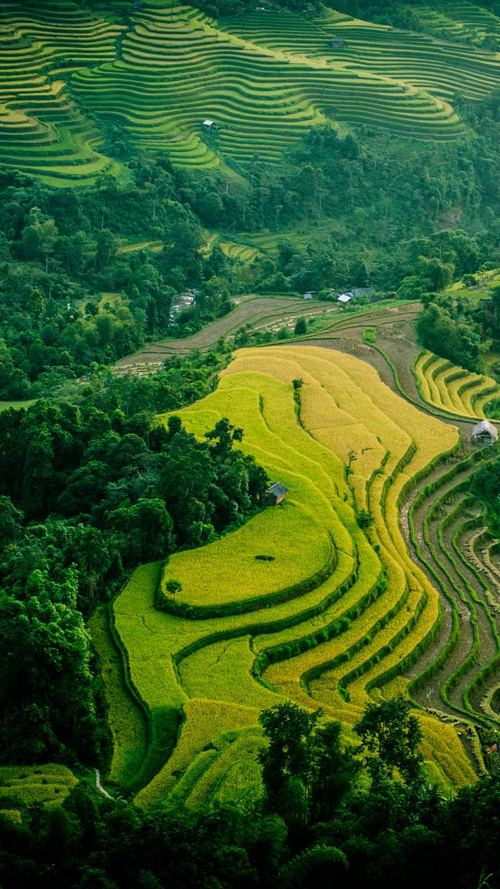 Wallpaper Full Hd 1080 Bộ Hinh Nền đẹp Phong Cảnh Thien Nhien Cực Chất By Thanh Ha Nguyễn Medium