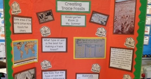 Science Fair 2016