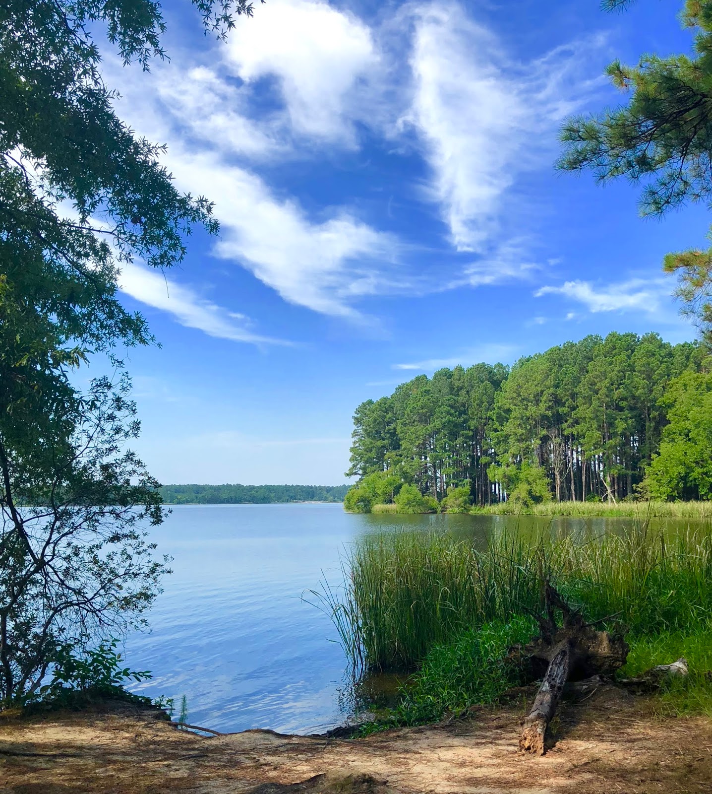 PlacesHiking the Peninsula Trail at Harris Lake in New Hill NC