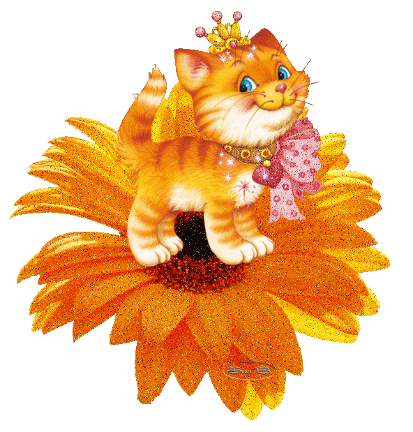 Книгосвіт: Про Книги, Події, Бібліотеки: Кошачья Радость